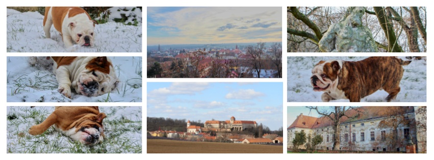 Jaroslavice