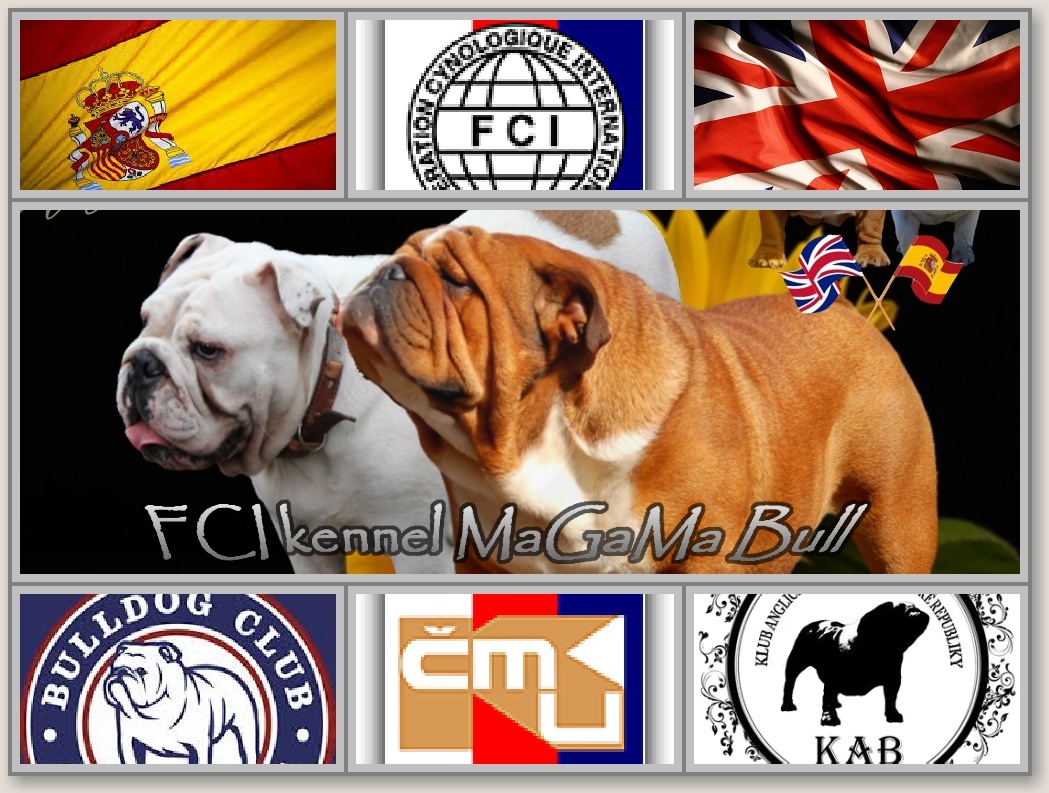 1200px-FCI_logo.svg_postcard