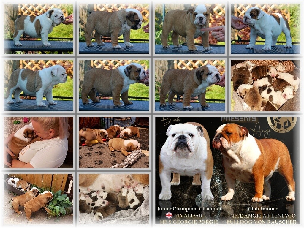 74345292_3370918516286125_3705575010415280527_o_postcard