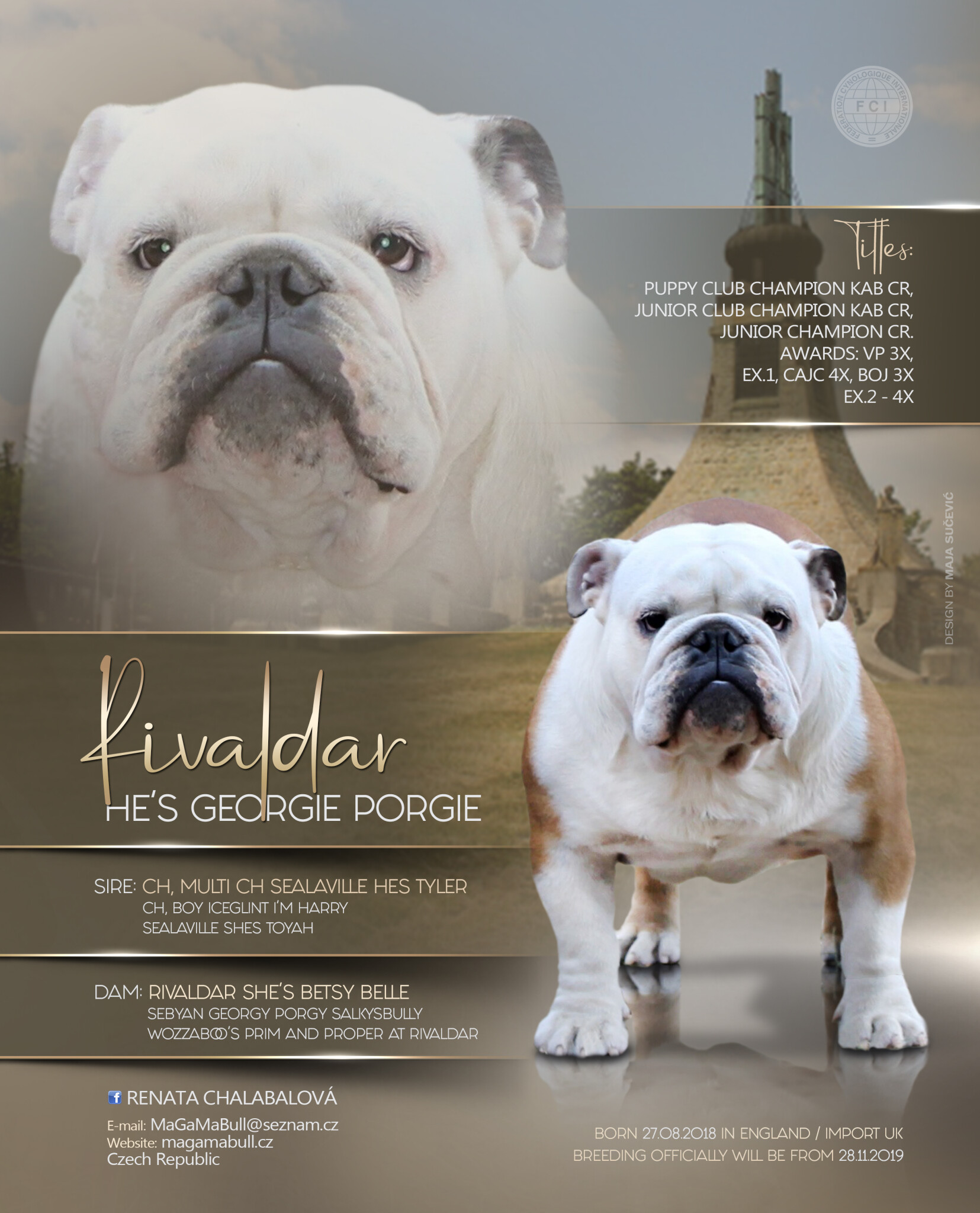 Stud dog 2