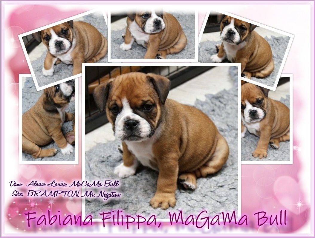 collage Fabiana
