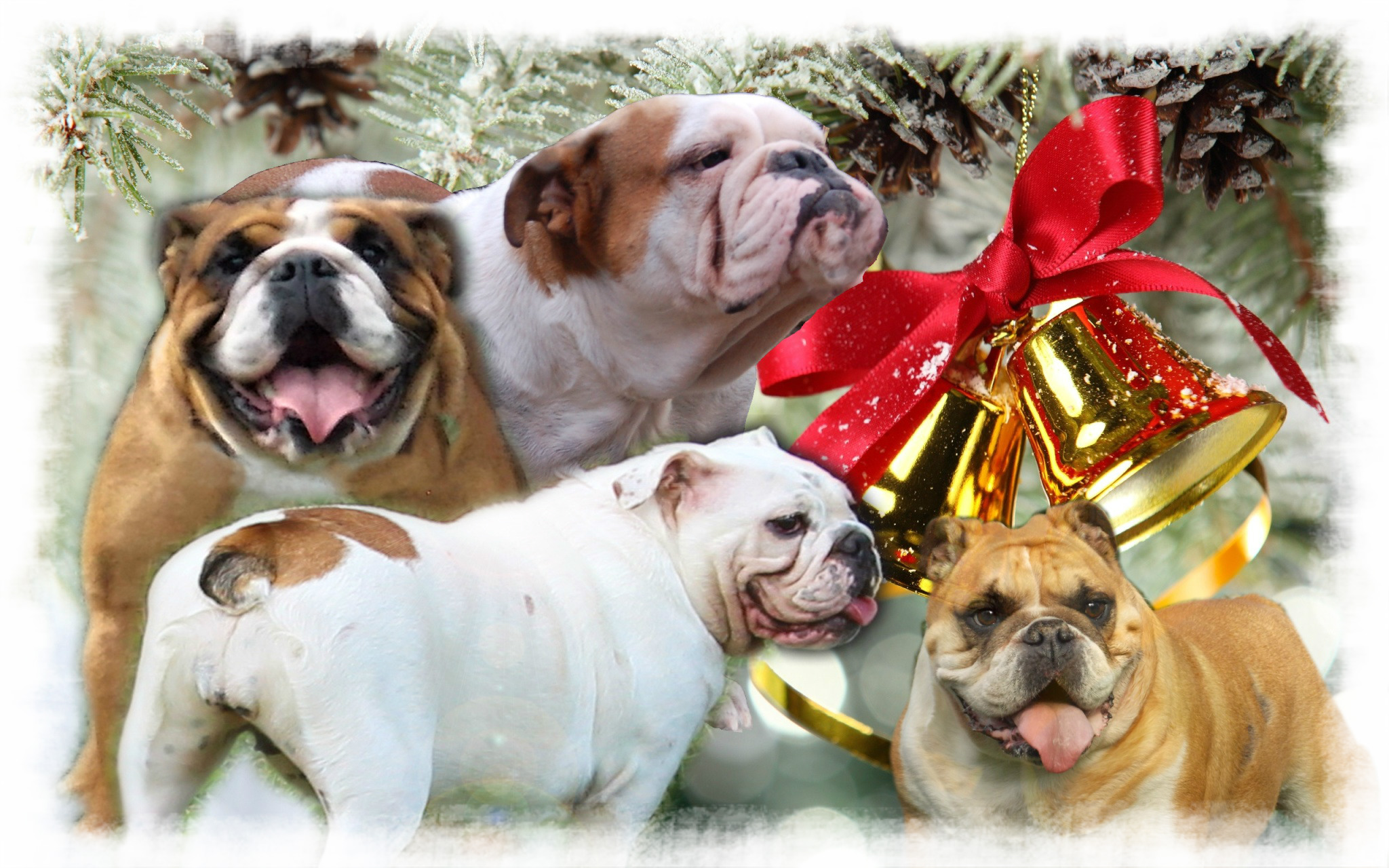 pizap.com15450431159061