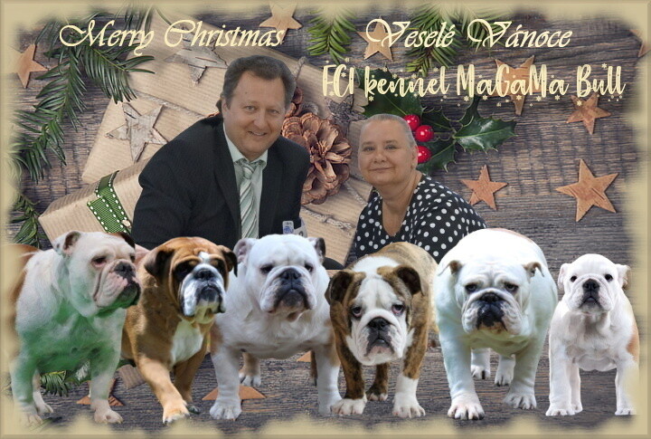 winter-holiday-gift-christmas-wallpaper-preview 3